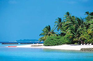 Stunning Maldivian beaches
