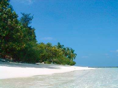 Kurumba